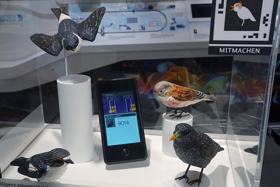 Mehrere Vogelmodelle sind um ein Smartphone herum platziert, auf dem eine Stimmerkennung visualisiert wird.