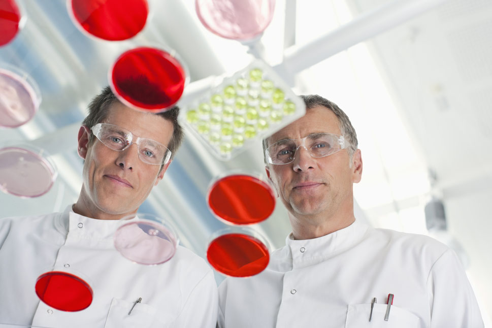 Bild zeigt zwei Wissenschaftler mit Schutzbrillen, die verschiedene gefüllte Petrischalen auf einem Tisch betrachten