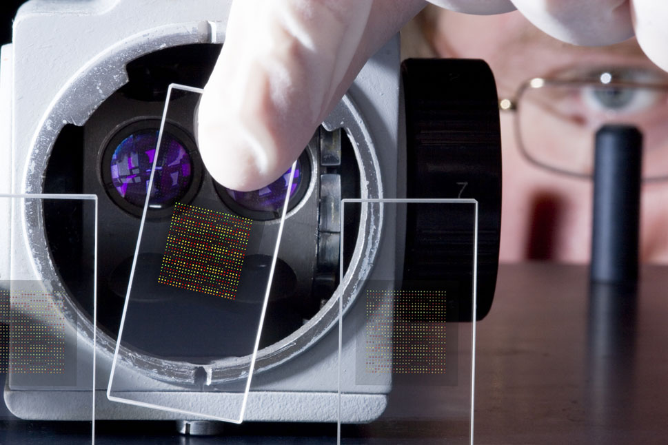 Ein Forscher legt einen Objektträger vor ein Rasterelektronenmikroskop.