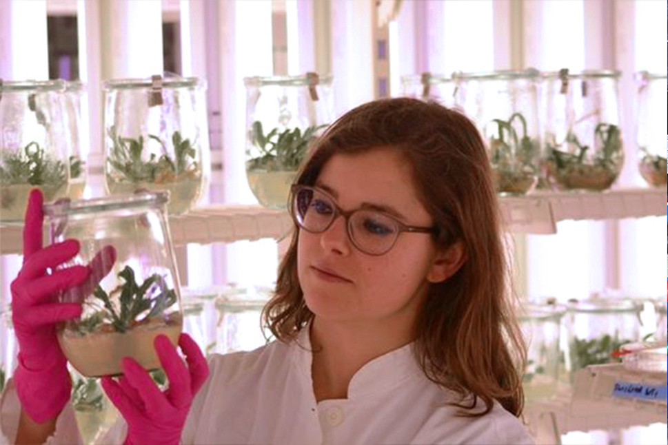 Eine Frau im Laborkittel und mit Handschuhen betrachtet nachdenklich ein Glas mit Löwenzahnblättern.